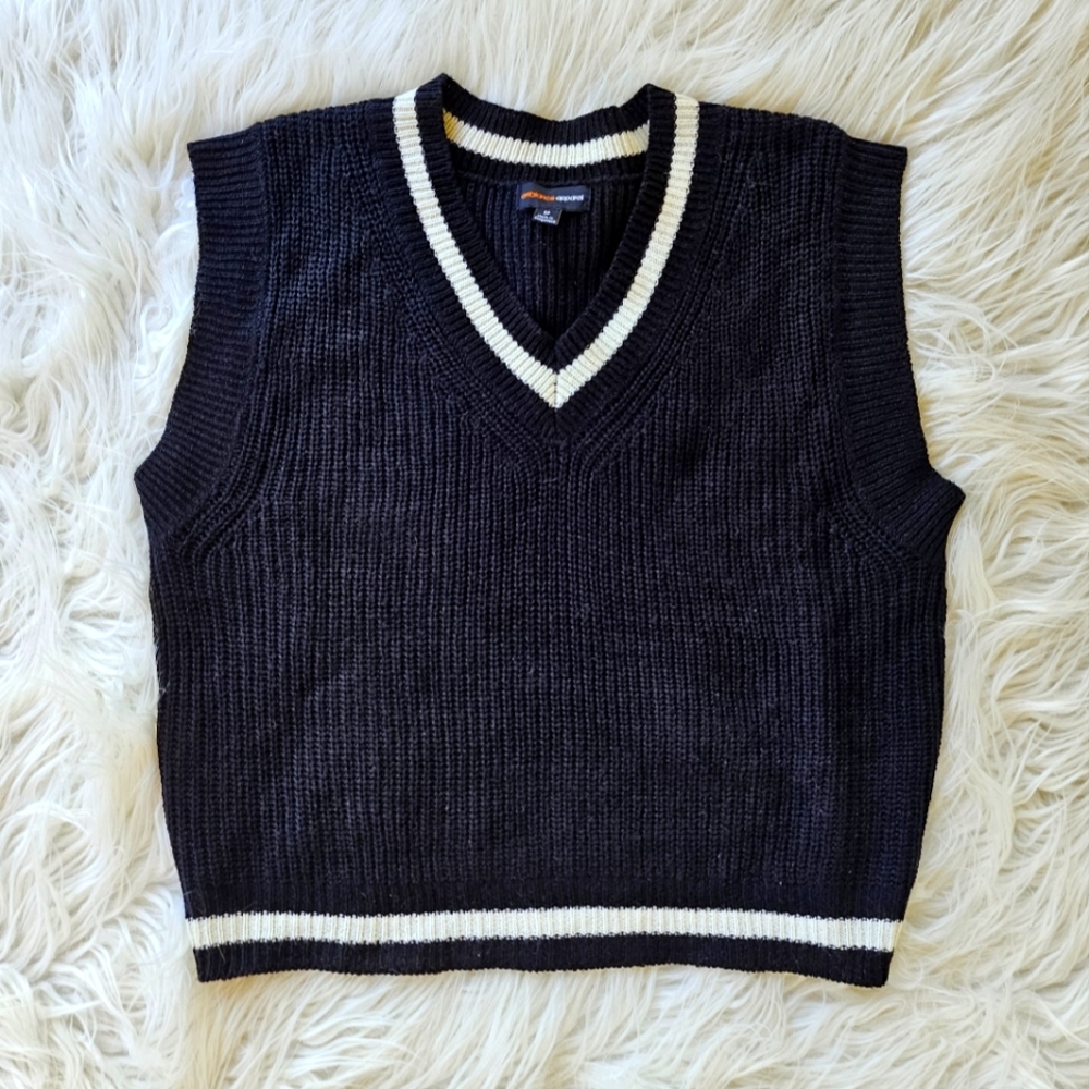 NWOT Ambiance Knit Sweater Vest